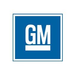 GM